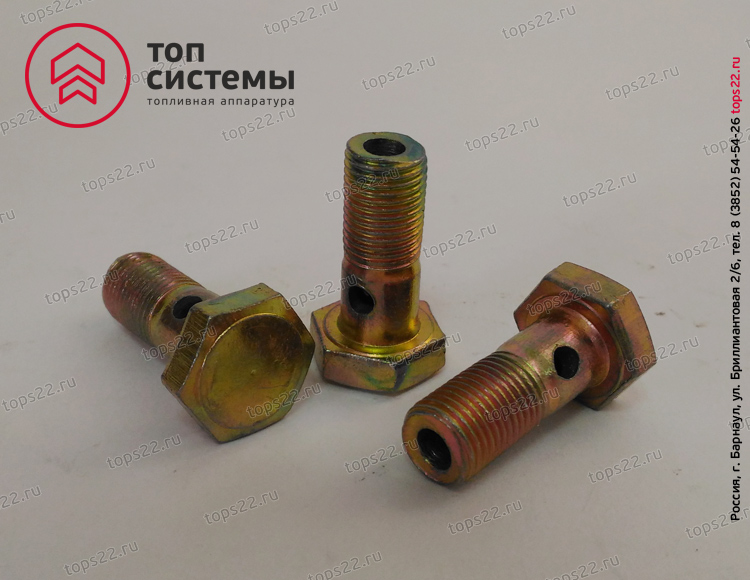 Болт топливный (М10х22х1)S16/36-1104787/310122/870032