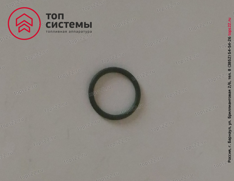 Кольцо 175.1111166-01 (024-028-25-2-2) зеленое ФСИ 65 Строймаш