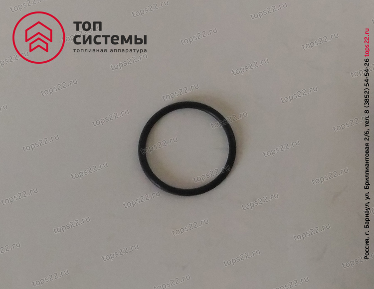 Кольцо 253.1112081 секции 175 (030-034-25-2-2)