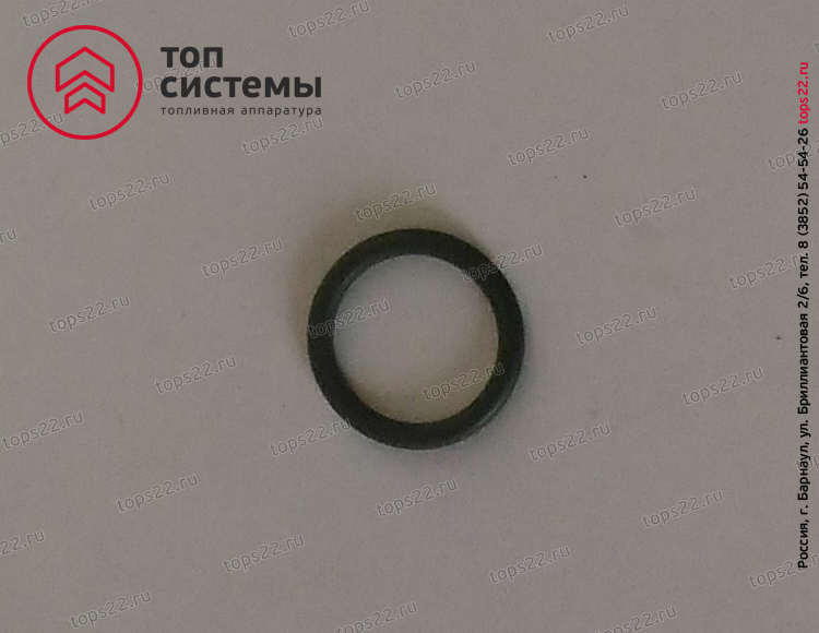Кольцо 253.1113053 поршня насоса (006-010-25-2-2) 