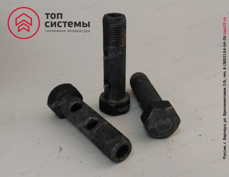 Болт топливный (М10х40х1)S14/310239-П29 под 2 трубки